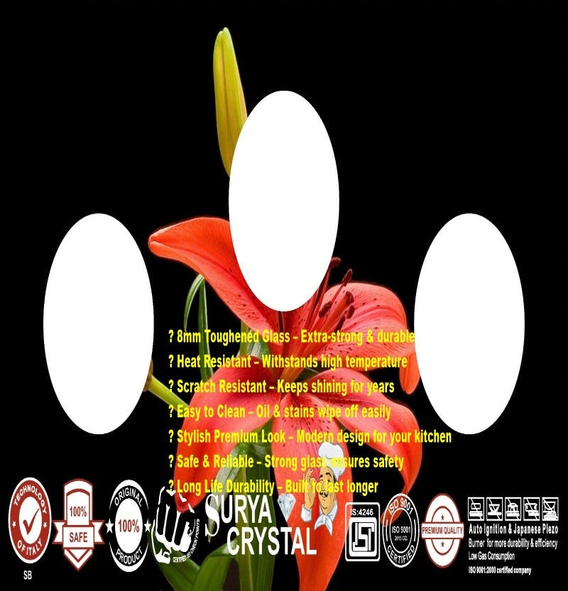 SURYA AUTOINGINTION GAS STOVE